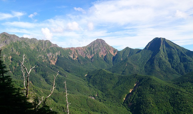 峰の松目から見た赤岳3.jpg
