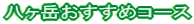 �����x�������߃R�[�X