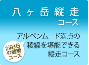 2泊3日の健脚コース　八ヶ岳縦走コース　アルペンムード満点の稜線を堪能できる縦走コース