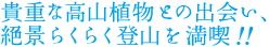 貴重な高山植物との出会い、絶景らくらく登山を満喫！！